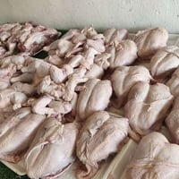 دجاج درجة أولى • صدور • توصيل طوز