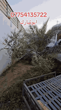 البصرة ابو الخصيب حمدان • ٤٠٠م • ٣غرف