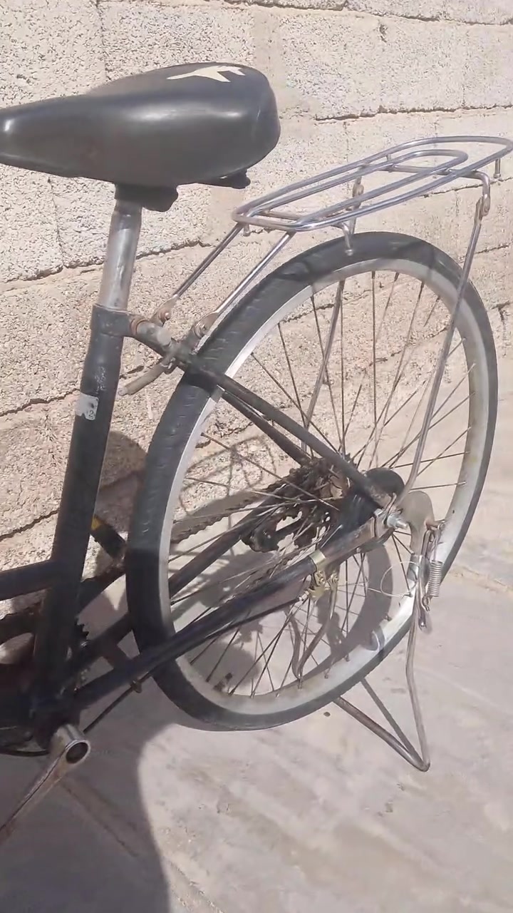 السلام عليكم بايسكل للبيع حجم 26 السعر 70 وبي مجال قليل مابي اي عيب بس الزنجيل طويل ويفلت المكان واسط قضاء الحي. الشري يجي خاص (حتلو مراوس باسكل هم 26)


**إذا كنت صاحب هذا الإعلان وتريد حذفه لأي سبب، رجاءا أرسل رسالة إلى الدعم الفني**