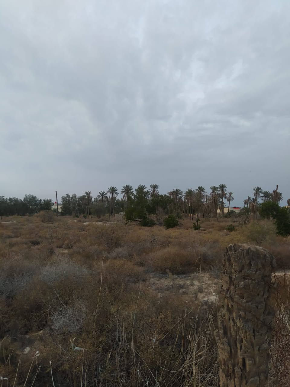 #اسعد_الله_اوقاتكم_بكل_خير⁉️👋

أرض للبيع 

#المساحة::11دونم 

#العنوان:: البصرة أبو الخصيب منطقة حمدان قرب جامع المعاريف 

#جنس_العقار::طابو مالك صرف زراعي تحويل 

شارع 12متر 
جميع الخدمات متوفرة ماء كهرباء مدارس نت كلشي قريب على 
#السعر((دونم الواحد 310مليون))
#اللاستفسار:: إلا تصال على الهاتف ☎️📞 
☎️((***********))☎️
