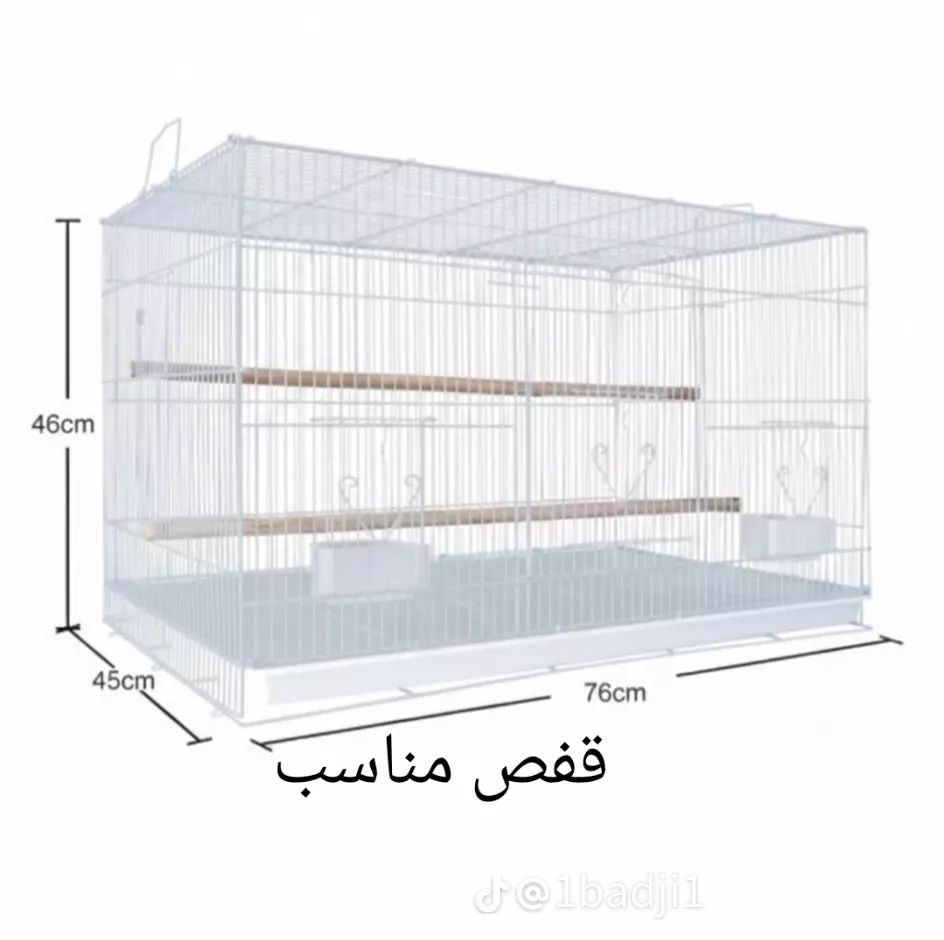 متاح قفص الطول 60 والعرض 40 والرتفاع 50 سيم اصلي ملاحضه اذا اكو اراوس مثل هاي الخانه


**إذا كنت صاحب هذا الإعلان وتريد حذفه لأي سبب، رجاءا أرسل رسالة إلى الدعم الفني**