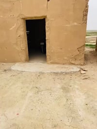 جاوه • عشاق الجاوه • نهاد كمال الطائي