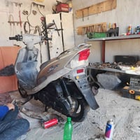 منغولي • ٤٩ • مكفوله