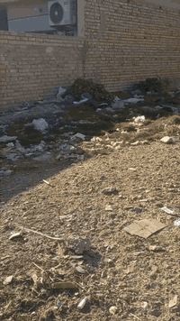 سبع البور بغداد • ١٠٠م • طابو صرف