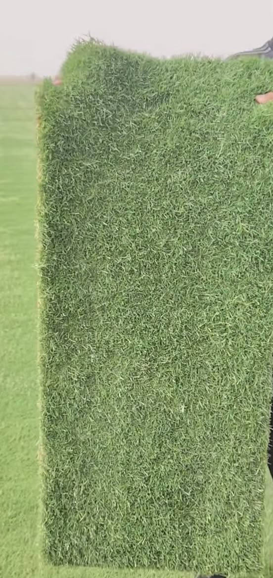 سلام عليكم برخصتكم 
منو يريد #ثيل_ديالى_هندي_اربعة فصول
اني طلبت 50 متر لكن حديقتي يكفي 28 متر يعني 22 متر زيادة واني اريد ابيعه بنفس السعر 
اذا احد يريد خلي يراسلني اني مكاني اربيل 
***********
