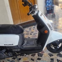 بوليسي • نضيفه • البصره