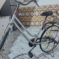 بيسكل • حجم 26 • جديد