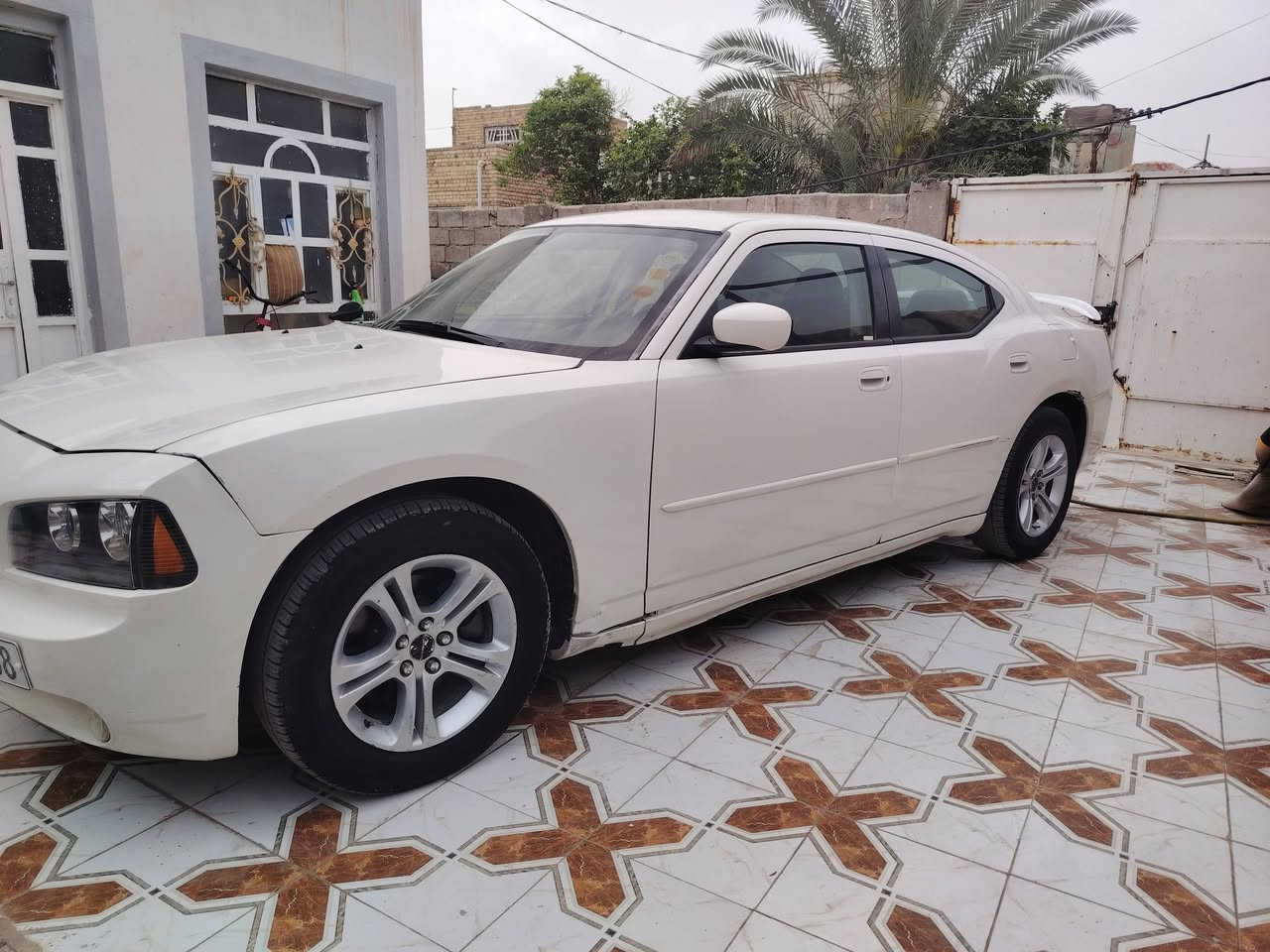 للبيع او مراوس
جارجر موديل 2009

خليجي

رقم بغداد انكليزي

الون ابيظ صدفي 

محرك 3500 كفاله

فول مواصفات

فتحت قماره شغاله

كشنات جلد اسود بلاد

شاشه لمس قلابه بلاديه

تدفئة كشنات

كامره خلفيه

حساسات خلفيه بس متشتغل ماعرف شبيهن

حداديه قبل اسبوعين شاده جديد

منظومة زنون شمسي

تدفئه تبريد شغال

تخم تاير جديد قبل فتره

ويل 17 مال جارجر حديث

زوج لايت جديد شاده

بلاجكتور دعاميه شغال

ريمونت فتح ‌‌± تقفيل شغال

سياره جديده مال جناي تاخذه تدعيلي ولله

سستم سماعت وصوت موطبيعي

سياره باعافيه ع الياخذه

السياره ظرره جاملغ وبنيد

عندك خياس مكدار اصبع بالجاملغ الخلفي الايسر تقريبا  اصبع ممعمره

اخوان تجي تكلب السياره وتفحص تكمل يلا اكاتبك

حتى منتفاشل

اخوان كلشي شرحت يرحم والديكم 

السعر 110

الاتصال ***********

العنوان ديوانيه
