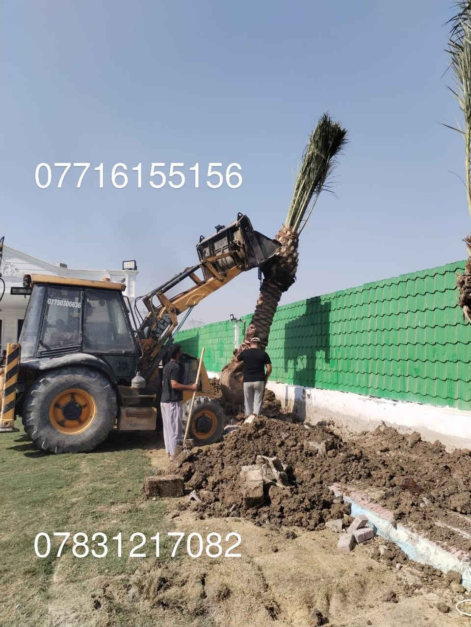 🌴 استثمر في الزراعة الذكية مع أفضل أنواع الفسائل! 🌴
*********** هل تطمح لتطوير مزارعك بمواصفات عالمية؟ ✅ نحن نوفر لك فسائل نادرة وجودة لا تُضاهى لتضمن نجاح مشروعك الزراعي.

🔸 فسائلنا المميزة تشمل:

خستاوي 🌱 | بريم 🌴 | عمران 🌿
تبرزل 🌳 | مكتوم 🌴 | جمالي 🍃
اشرصي 🌴 | بربن 🌿 | حمراوي 🌴
شكر 🌾 | شوثي أصفر 🌻
✨ لماذا نحن خيارك الأفضل؟

جودة مضمونة بتوثيق أمهات معتمدة.
نوفر كافة الأحجام حسب الطلب.
توصيل سريع وآمن لكل محافظات العراق 🚚.
خدمة مخصصة للمزارع، المشاتل، والدوائر الرسمية.
📞 للطلب أو الاستفسار:
اتصل على***********📱 *********** يتوفر واتساب 
📞 
📲 ***********
📞
متابعه لصفحه فضلا وليس امرإ
✨ استثمر اليوم وحقق أفضل العوائد!
تواصل معنا الآن عبر الصفحة أو الأرقام المذكورة، واجعل مشروعك الزراعي بداية نجاحك. 🌟
