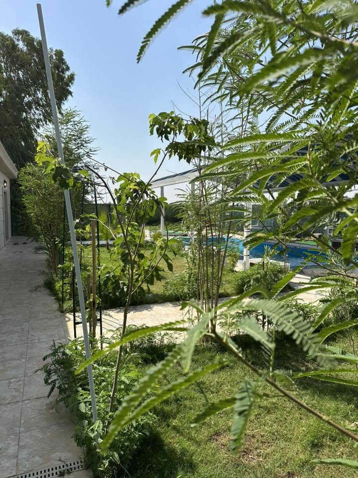 مزرعة زهور بغداد للايجار اليومي
بغداد حي الجهاد المكاسب
متوفر حجوزات
الاربعاء صباحي ونسائي6/17
الخميس صباحي 6/18
الجمعة مسائي 6/19
السبت صباحي ومسائي 6/20
موثقة ب اجرلي المزرعة
***********
