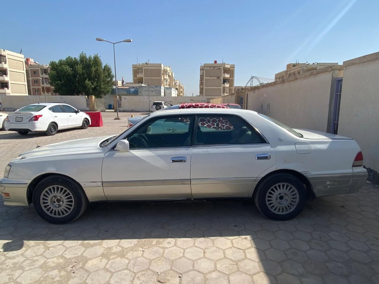 رأس الثور ادوات كصه قماره مكينه في في تي لون ابيض محزم الزبير, البصرة


**إذا كنت صاحب هذا الإعلان وتريد حذفه لأي سبب، رجاءا أرسل رسالة إلى الدعم الفني**