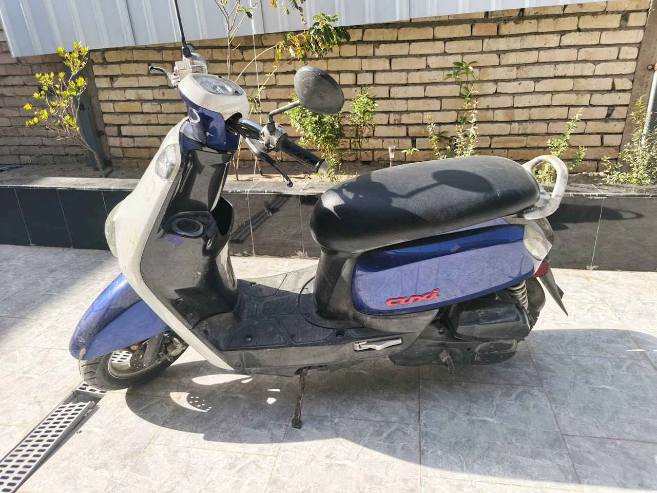 بوليسي حديث 2016 مشتريها حاوية . اي نقص مابيها نظيفة جدا.. صارلي ٤ اشهر من اخذتها
مكان
*********** ها كربلاء قرب شارع ابو طالب
