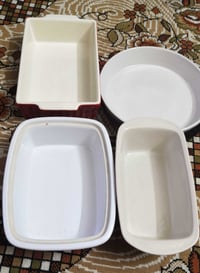 بايركس فرفوري • ثقيل • حجم كبير