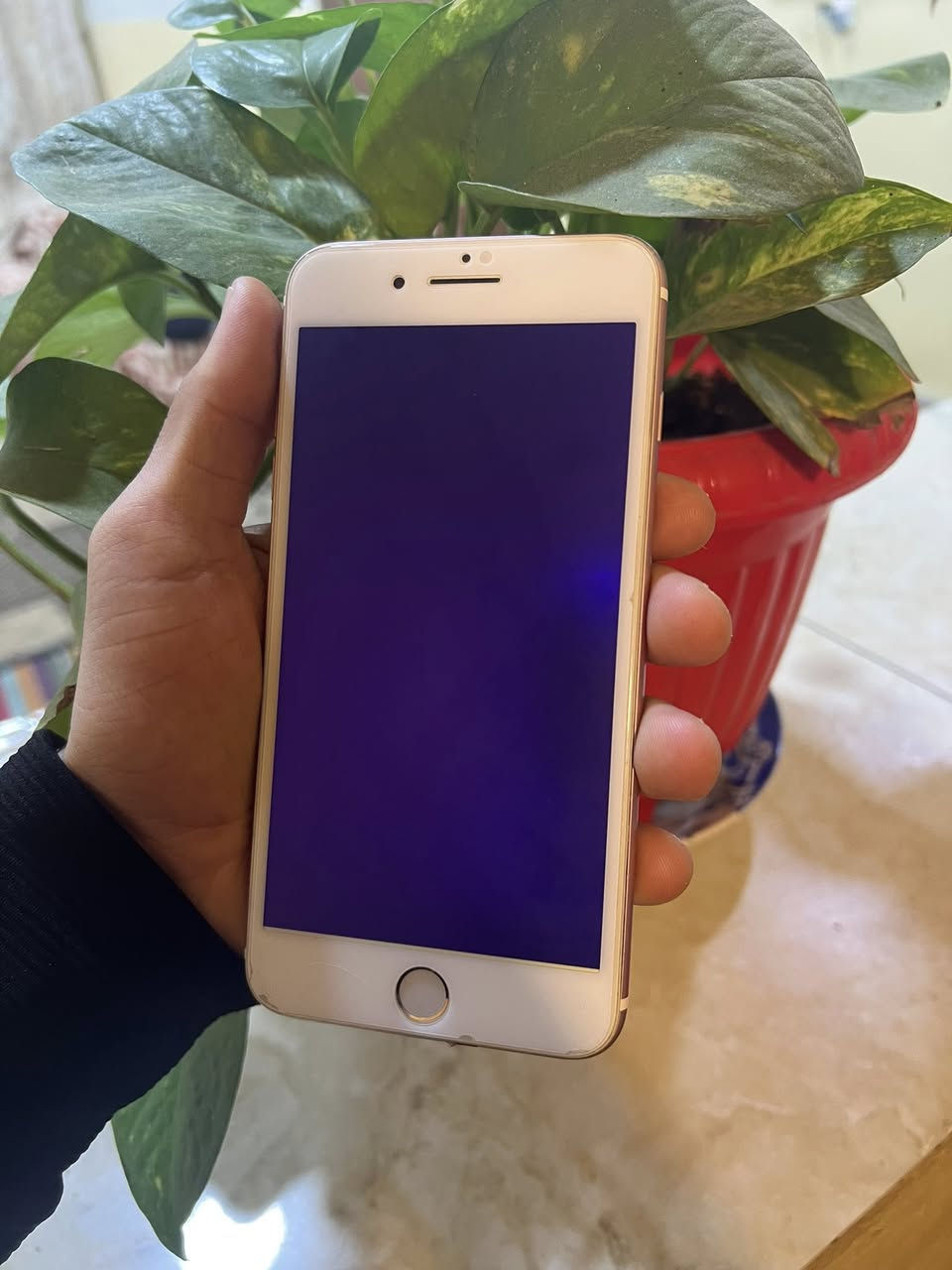 السلام عليكم للبيع 7 بلاس ذاكره 128)بطاريه 100نضيف حيل السعر 100 وبي مجال تفاصيل اكثر خاص


**إذا كنت صاحب هذا الإعلان وتريد حذفه لأي سبب، رجاءا أرسل رسالة إلى الدعم الفني**