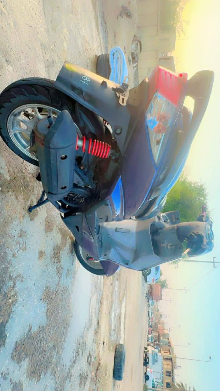 سلام عليكم اخوان سكنس فحل مكفوله كفاله عامه دراجه خير من لله ماعايزه اي شي صارله سبوع طالعه من الحاويه حتاجيت وريد ابيعه ***********
