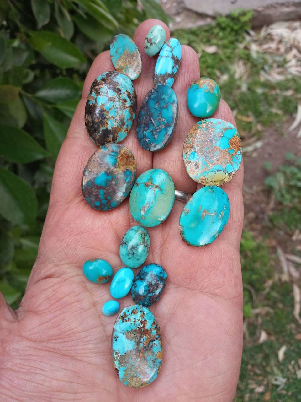 فيروزج ذمه اصلي تفضلو خاص
على باب الله سعر مناسب


**إذا كنت صاحب هذا الإعلان وتريد حذفه لأي سبب، رجاءا أرسل رسالة إلى الدعم الفني**