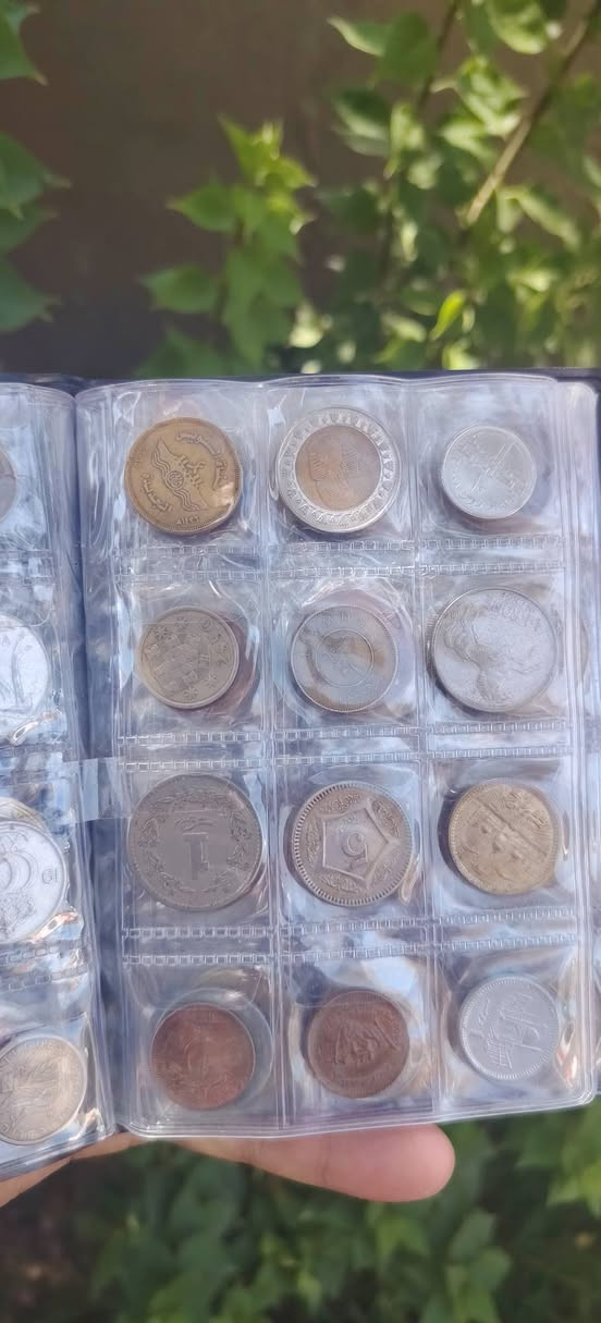 البوم دراهم يحتوي على 120 عملة تواريخ قديمة


**إذا كنت صاحب هذا الإعلان وتريد حذفه لأي سبب، رجاءا أرسل رسالة إلى الدعم الفني**