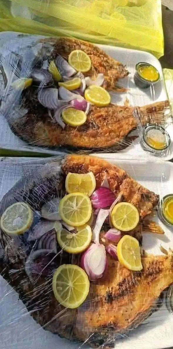 مطعم ومشويات البركه ❤️🌹
إنتَ اختار الطريقة واحنه نضبط النكهة:
 بالتنور🍢 لو شوي لو قلي 
والطعم مضمون بحطب الحمضيات والنكهة البغدادية الأصيلة

للحجز ***********

دجاج محلي عراقي ب ٣٧٥٠ متوفر مشوي ع الفحم وبالتنور 

سمك حي تازه يلبط كل اوزان متوفر ب ٥٧٥٠

متوفر توصيل
