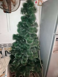 شجرة 🌲للبيع مال احتفال اكبر حجم سعر 30 وبيها مجال قليل اليريدها يتصل ع...