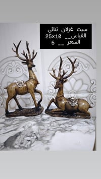 واسط قضاء الحي • توصيل متوفر • مبخرة