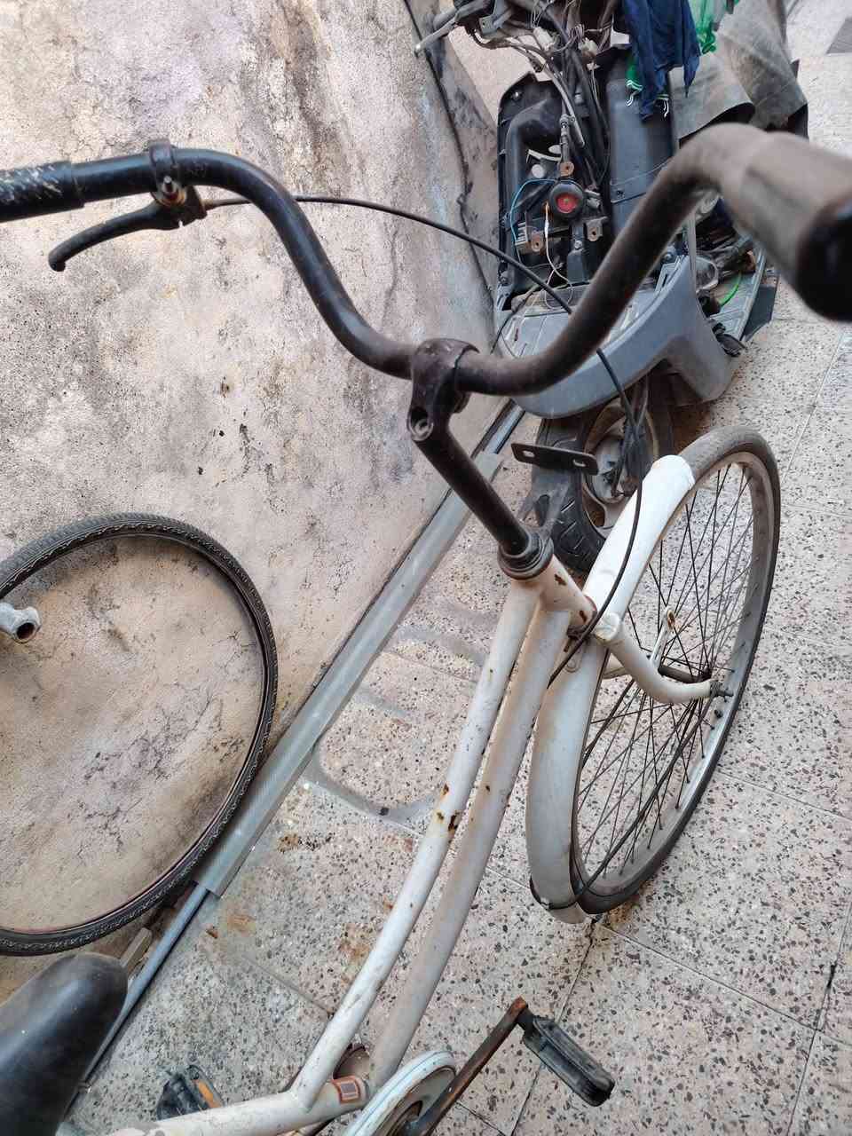 باسكل للبيع حجم 26 نضافة كدام عينك
سعر 45 قفل قفل


**إذا كنت صاحب هذا الإعلان وتريد حذفه لأي سبب، رجاءا أرسل رسالة إلى الدعم الفني**