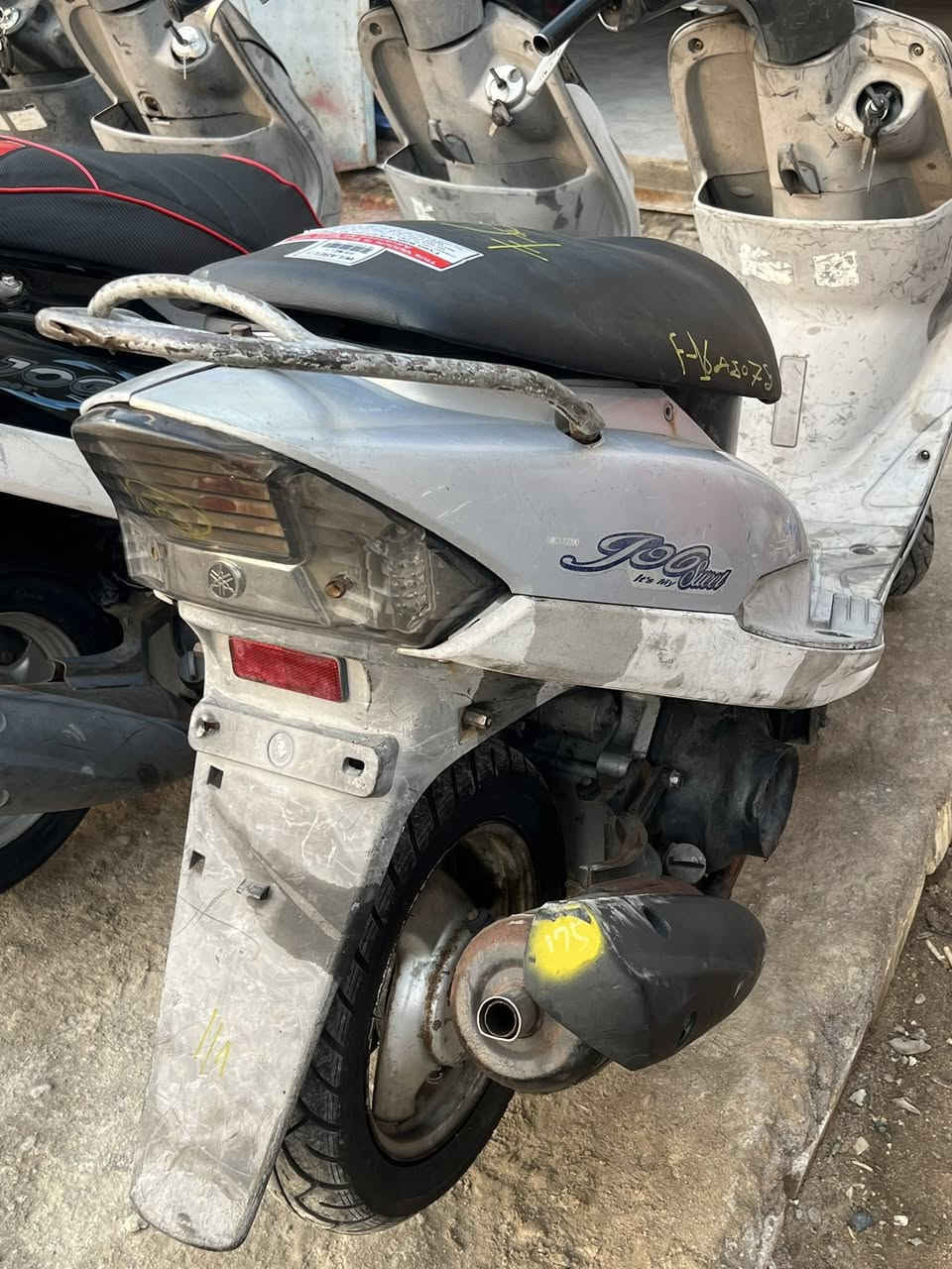 مرححبا
ماكسات منغولي 
كله بلاد 49
كلهن شغالات اي نقص مابيهن
مختمات 
وع750الف
العنوان/العمارة/العرضات/فلكة القاضي 
***********
