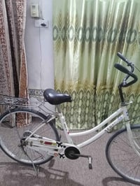 بيسكل • سوق الشيوخ • مجال قليل