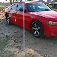 جرجر • ٢٠٠٩ • صبغ قطعتين