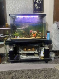 حوض سمك • قياس ٨٠ • طالبيه شارع فلسطين