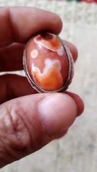 داودية حمرة مصورة والصور واضحة جدا معلومات اكثر خاص او واتساب 07833703...