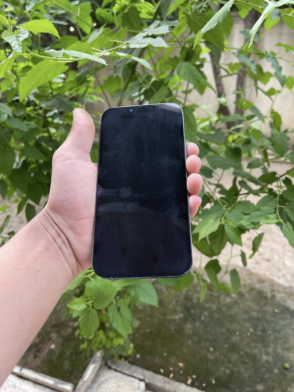 آيفون 13 برو ماكس.
بطاريه ٧٦ ما مبدله
ذاكره ٢٥٦
دبل سيم
جهاز نضيف بس شوي يعبر هوه  
السعر 600 وبي مجال 
***********
