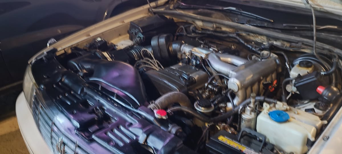 للبيع فقط: وينه الي يگول ماكو بطه بالبصره جديده . 
سنويه لل٢٩ رقم إنگليزي شرط التحويل كهربائيات كلهه جاهزه 
للاتصال:*********** واتساب ، السعر 58 ومجالها قليل .
