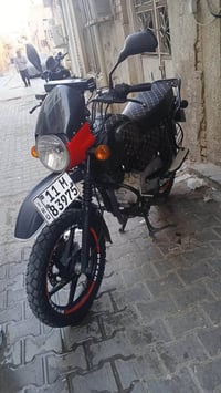 بوكسر جبلي • موديل ٢٣ • مرقم كامل