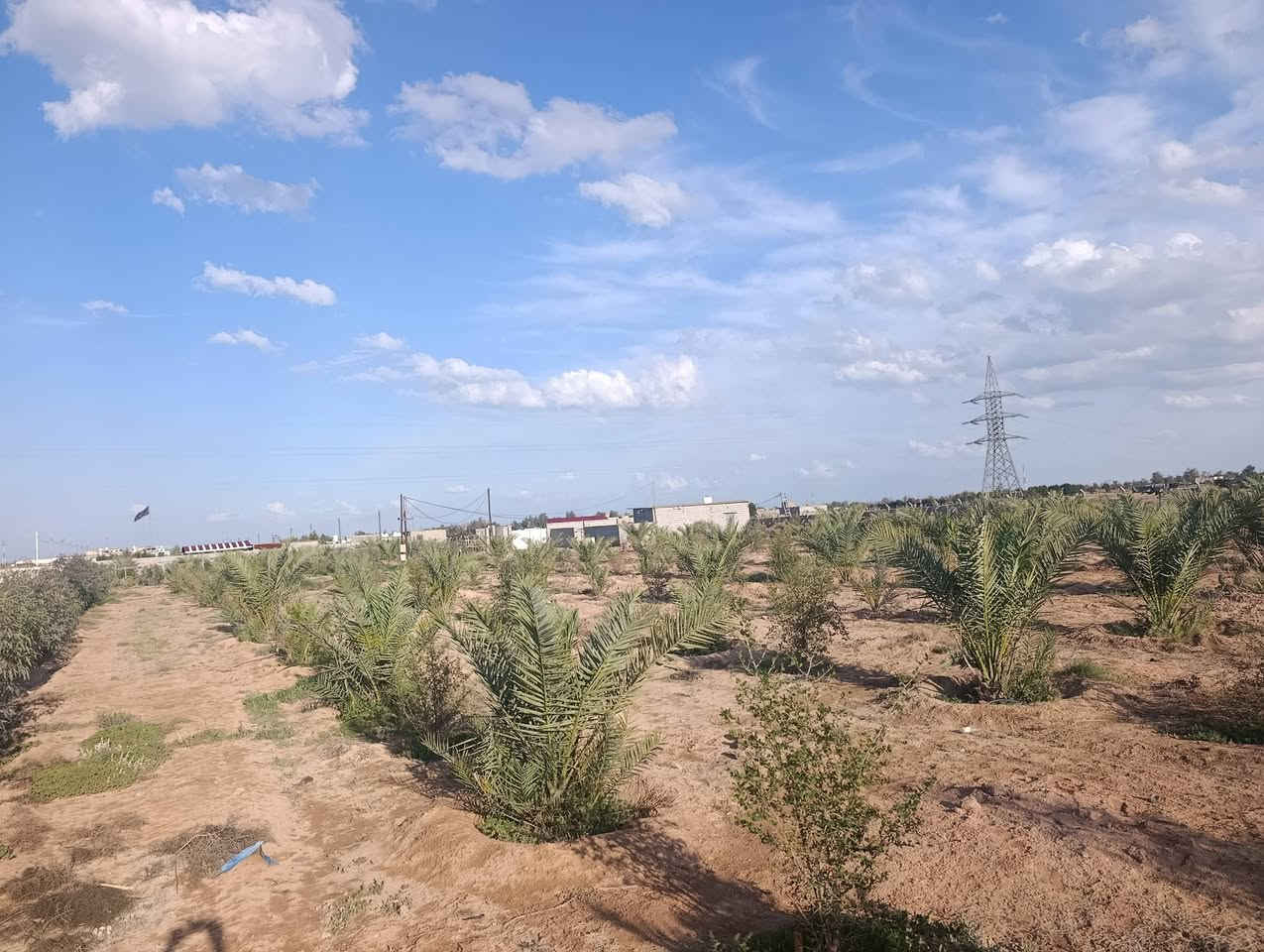 السلام عليكم مزرعه
للبيع المساحه 2 دونم
طريق نجف كربلاء عمود 285
جنس الأرض عقد
مزروع نخل 75 +رمان15+نبك 80 وبيهه بيت وجهاز تقطير كل النخل والملك وسياج بي ار سي السعر 85 /طريق يا علي  تبعد عن الشارع 700 متر


**إذا كنت صاحب هذا الإعلان وتريد حذفه لأي سبب، رجاءا أرسل رسالة إلى الدعم الفني**