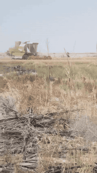 حاصد كلاس • موديل ٩٧ • قادسيه