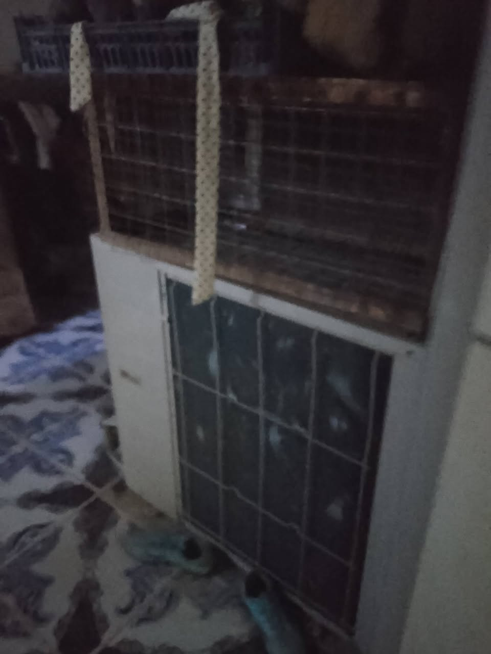 سلام عليكم سبلت عمودي 3طن جاهز من كلشي تاخذ وشد الك بيه شهر اي عطل بيه يرجع ثلج ثلج شركه الحافض صاله سنه من مشترينه السعر 825وبيه مجال وشد عليه وتدللون محتاج الله شاهد كلش كلش رقمي ***********
