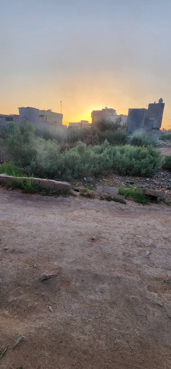 قطعة أرض للبيع 
📍 الموقع: كربلاء المقدسة - خلف جامعه فريحه من
 الشارع ركن الجامعه و*** المسافه تقريبا 800 متر
📐 المساحة: 235 متر 
📑 (طابوزراعي سند 25) خدمات  ماي وكهرباء  عرض 6متر
💰 سعرها جدا مناسب
📞 للتواصل والاستفسار:***********
***********
