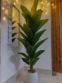 ديكور • زهور • حديقة