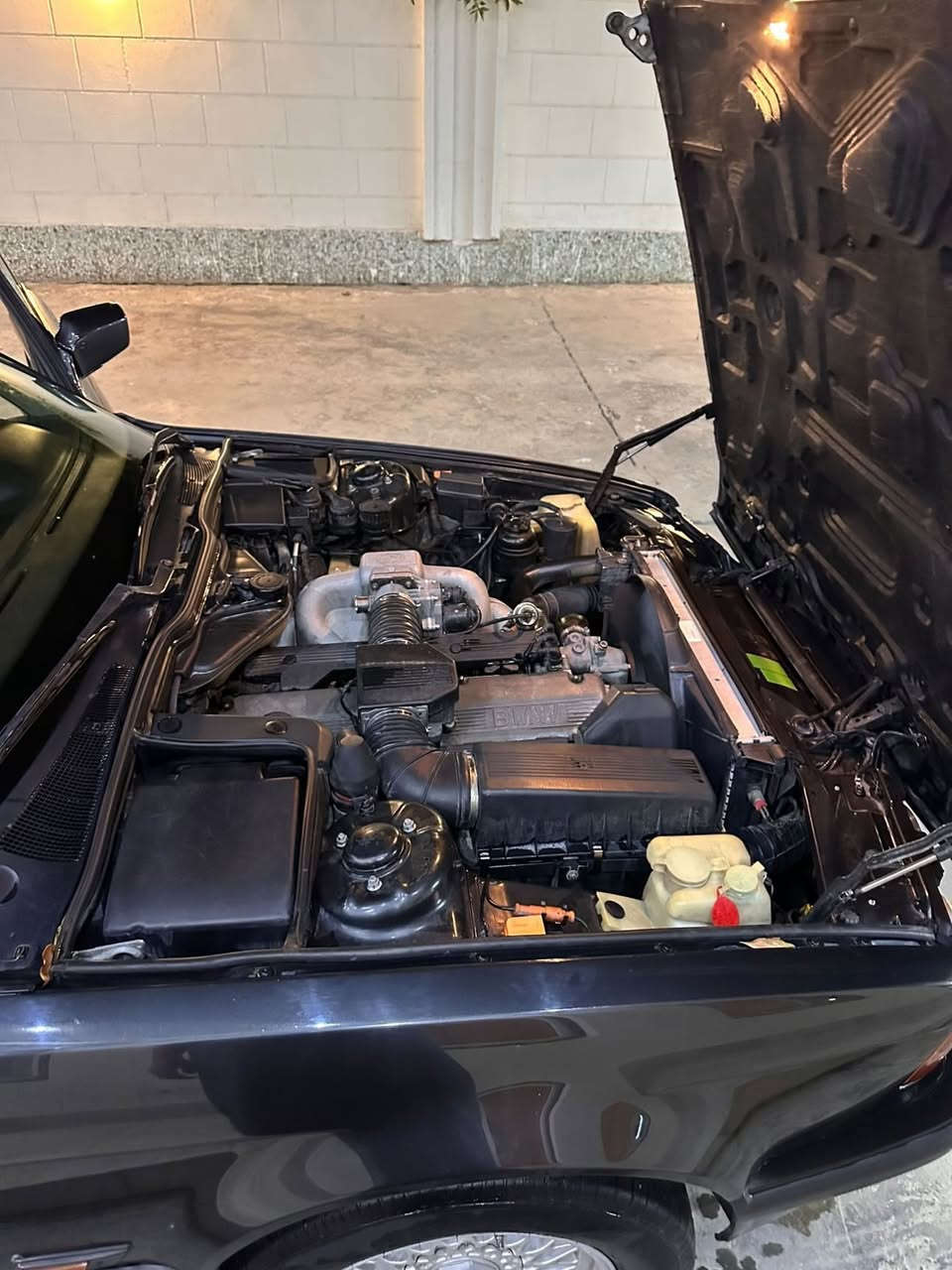 BMW
موديل 1993 حجمها 730 
السيارة بلادية
مكفولة كفالة عامة من الصبغ كشرها نضيف حيل 
السيارة فول مواصفات 
حساسات امامي خلفي 
كشنات جلد و كهرباء السائق و الراكب و خزن ميموري 
فتحة سقف
جام اوتو
بردة خلفية بلادية 
مثبت سرعة شغال 
تبريد ثلج 
كهربائياتها بلادية 
تخم تاير جديد
صدر جديد 
السيارة جديدة بمعنى الكلمة ممشاها 200 الف كيلو  
ترايها وين متريد 
سعرها 90 ورقة وبيها مجال 
***********

