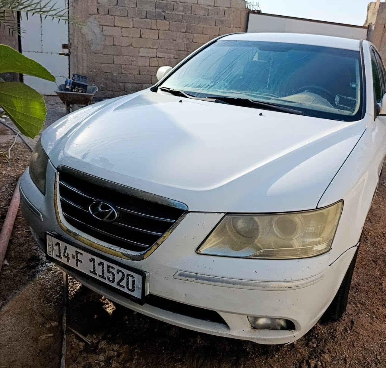 سوناته وارد كوري مكينه كير حداديه تبريد تخم تاير مكينه 2000 رقم بصره دولي بأسمي العنوان بصره شط العرب للاستفسار الاتصال على الرقم *********** البصرة, العراق

