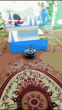 كوشات • توصيل للبيت • بابل