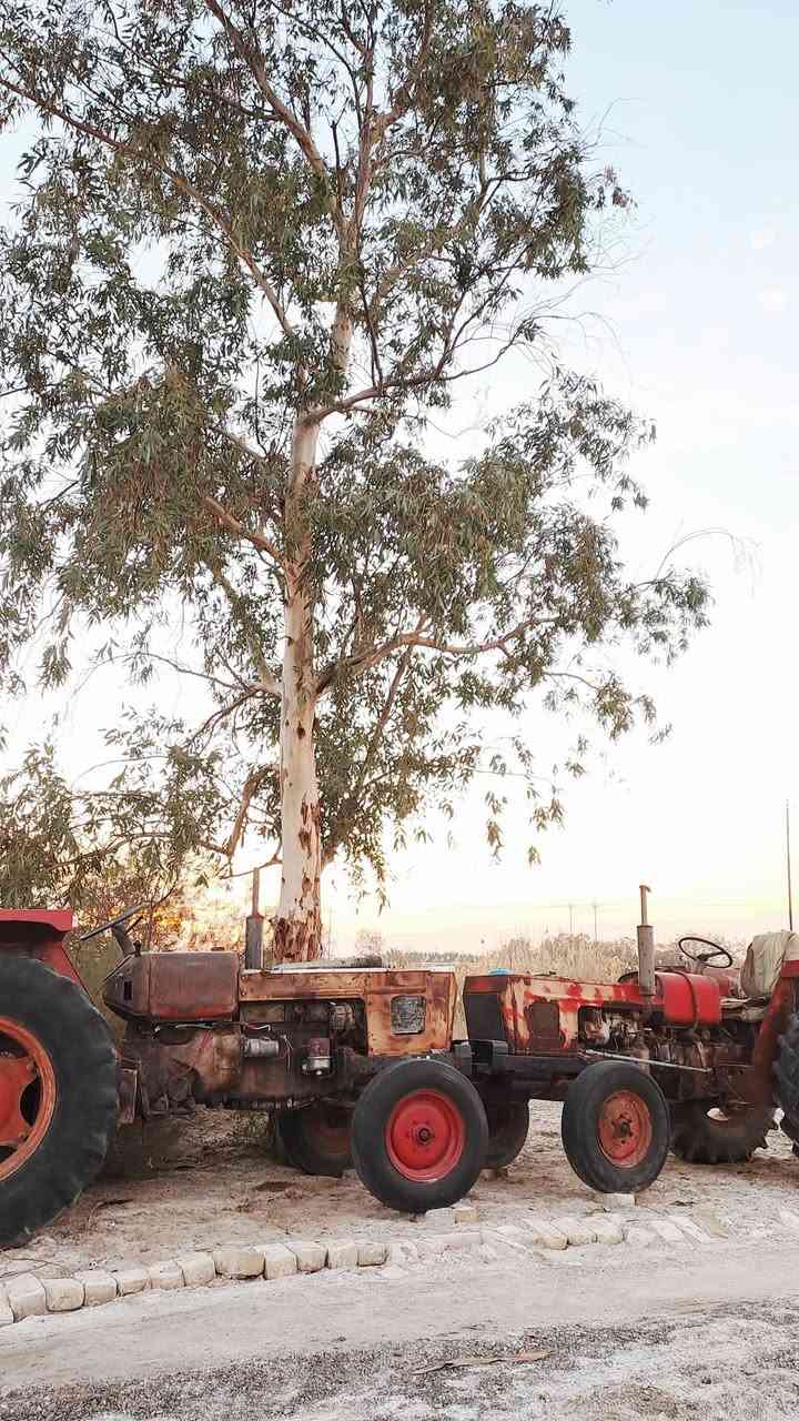 شراي يتصل مستعجل على لبيع
واسط قضاء الحي ***********//***********
