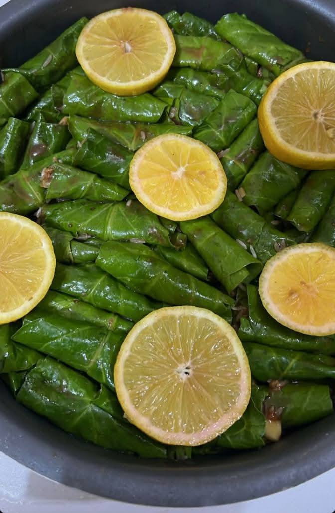 .. دولمه بيتيه بطعم خيال حامضه 🍋🍋🍋ولاچعه بسعر مناسب جدا تتوفر يوم  كل يوم  بمفرد وجدر الأسعار حلوه وحسب الكميه الترديها للحجز خاص توصيل الف🥒🥦🥬🫛🚖


**إذا كنت صاحب هذا الإعلان وتريد حذفه لأي سبب، رجاءا أرسل رسالة إلى الدعم الفني**