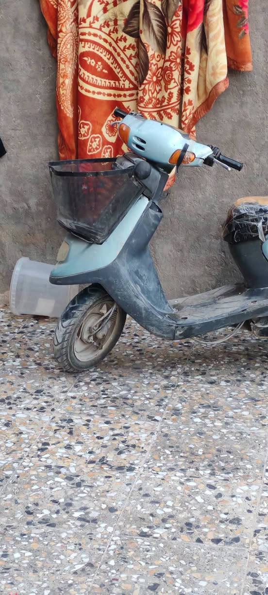 منغولي  شغاله سلف هندر كهربائيات كلها  شلعه حلوة مابيها نقص فقط شوي يرادلها غسل  وترتيبات بسيطه بالمقعد والكفر شوفة عينك 
السعر 250 بيها مجال  حك الجيه العنوان قنطرة السلام مقابل مجمع الوراث مال العتبه  
خاص مفتوح  اتصل ع رقم ***********
