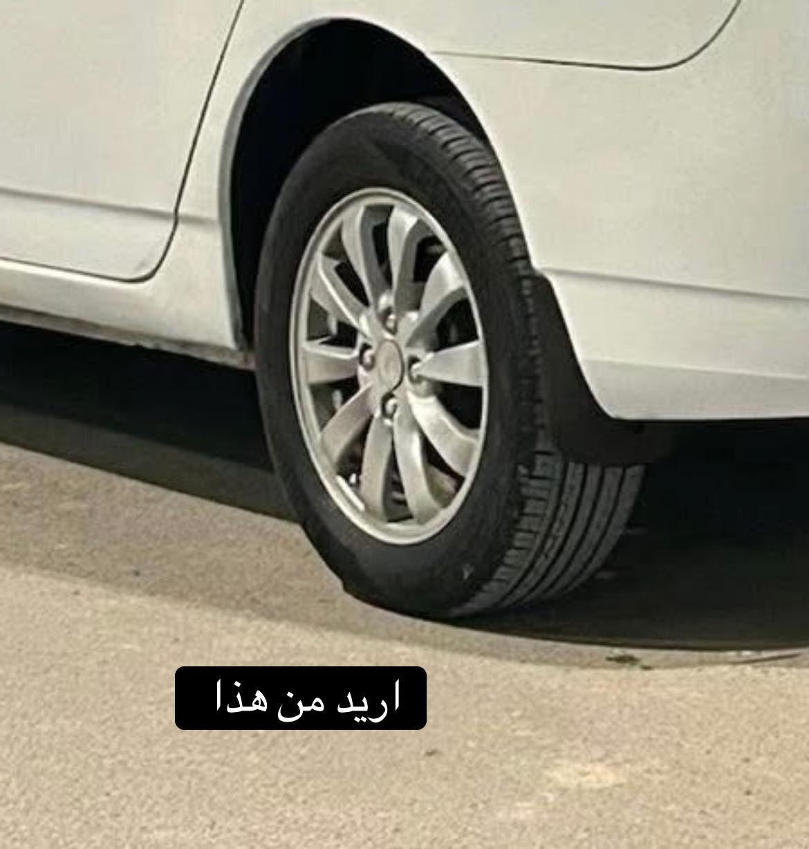 سلام عليكم رايد مراوس عندي من هذا واريد من هذا الماشر علي مكاني بغداد ***********
