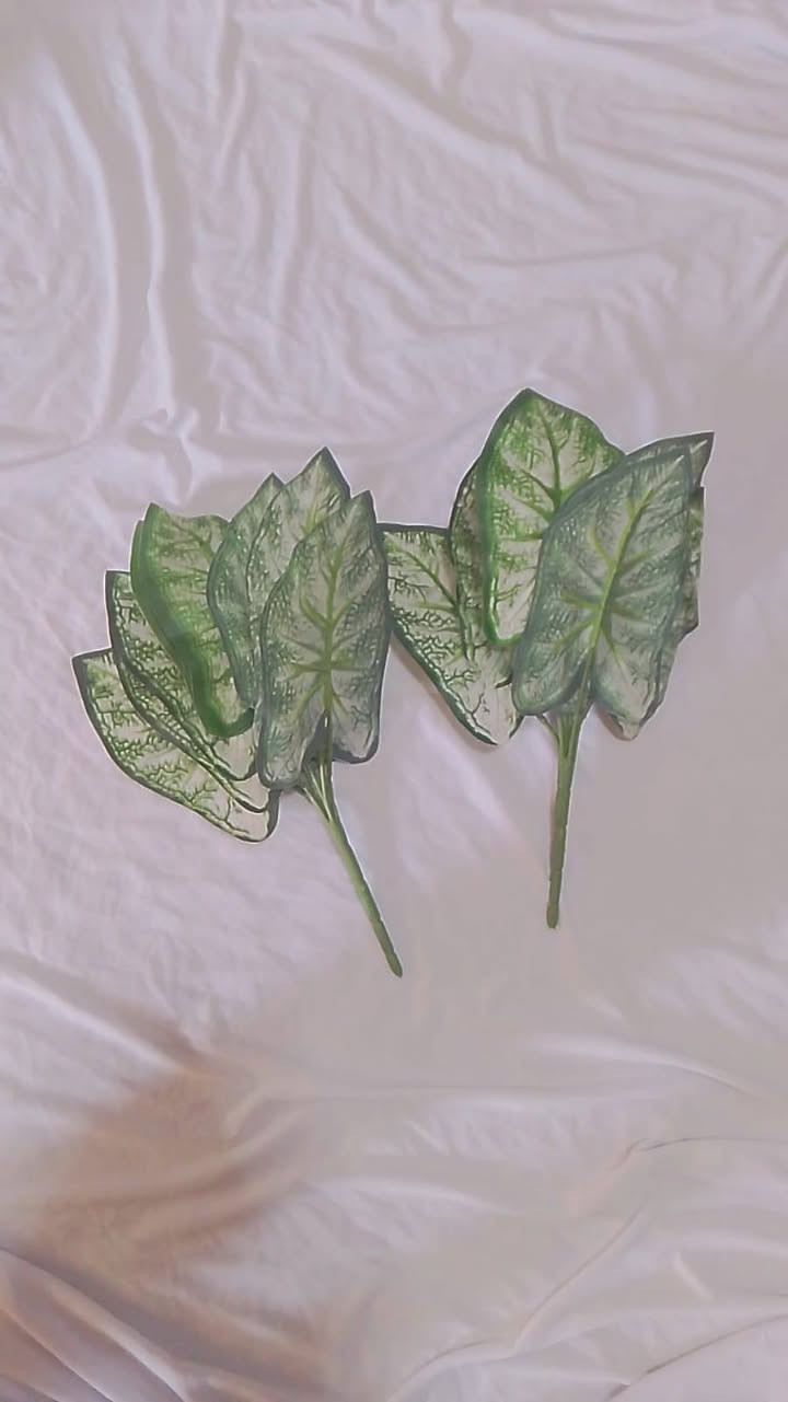 مجموعه زهور ١٠ الاف


**إذا كنت صاحب هذا الإعلان وتريد حذفه لأي سبب، رجاءا أرسل رسالة إلى الدعم الفني**