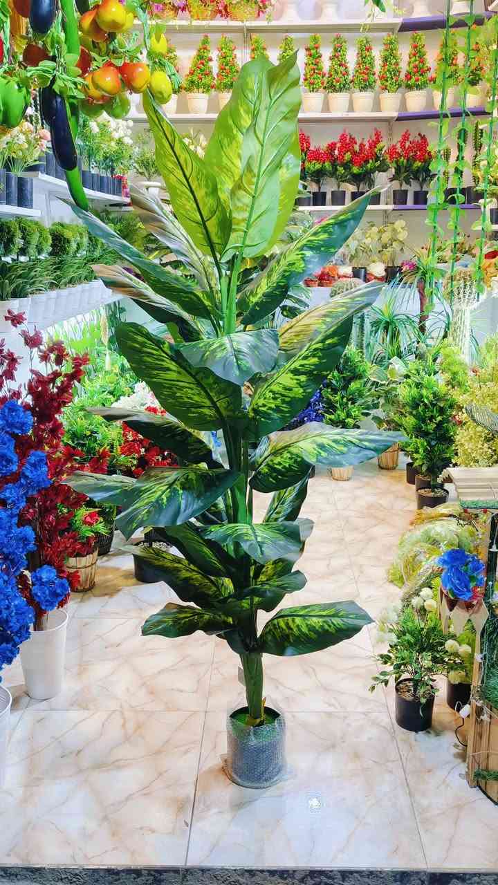 .اشكال وموديلات مختلفه من الورد والتحفيات ♥
عنوان المحل #واسط قضاء #النعمانيه 
 الشيشان الجديد الشارع الرابع
  محل الغيث للتسويق المنزلي


**إذا كنت صاحب هذا الإعلان وتريد حذفه لأي سبب، رجاءا أرسل رسالة إلى الدعم الفني**