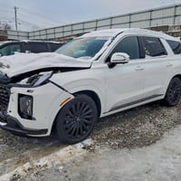 بليسايد كلغرافي • ٢٠٢٤ • مزاد النجف