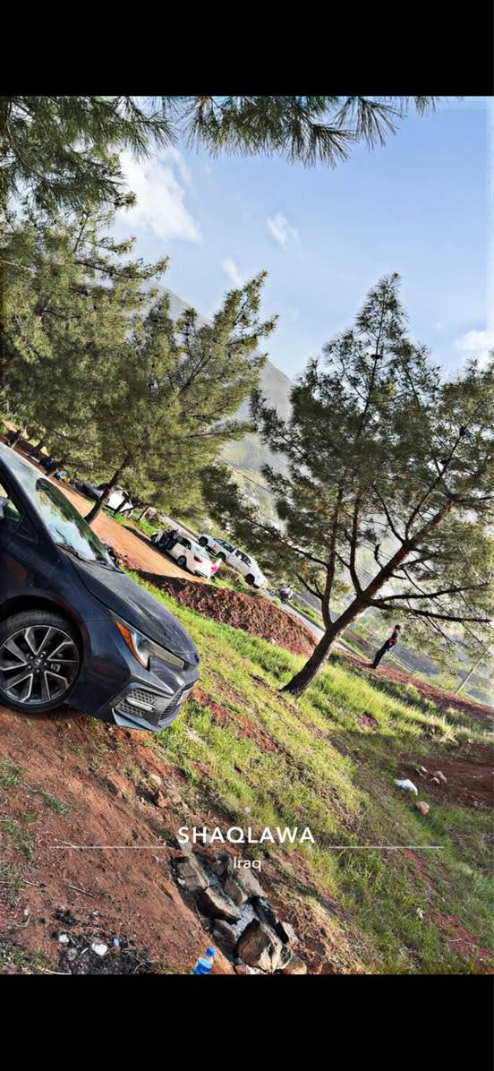 تويوتا كورولا ٢٠٢٢ مواصفات se جلد و به صمه و سلايد نيه سه ياره كه زور خاوينه مه كينه ٢٠ گير و مه كينه به شه رت ١ بارجه و بسته ك بوياغه به ٢ بارجه ده يفروشم ايرباك سوكان ته قيه داندراوه ته وه زانيارى زياتر واتساب *********** أربيل, العراق
