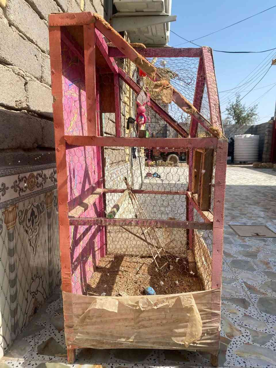 السـلام عليكـم 
عينـي عنـدي هذا القفـص مال طيـور حُـب للبيـع 
أبيعـه ع وضعـه ، متـروك عنـدي ما مستخـدمه 
أنطـي سعـرك وتعـال أخـذه


**إذا كنت صاحب هذا الإعلان وتريد حذفه لأي سبب، رجاءا أرسل رسالة إلى الدعم الفني**